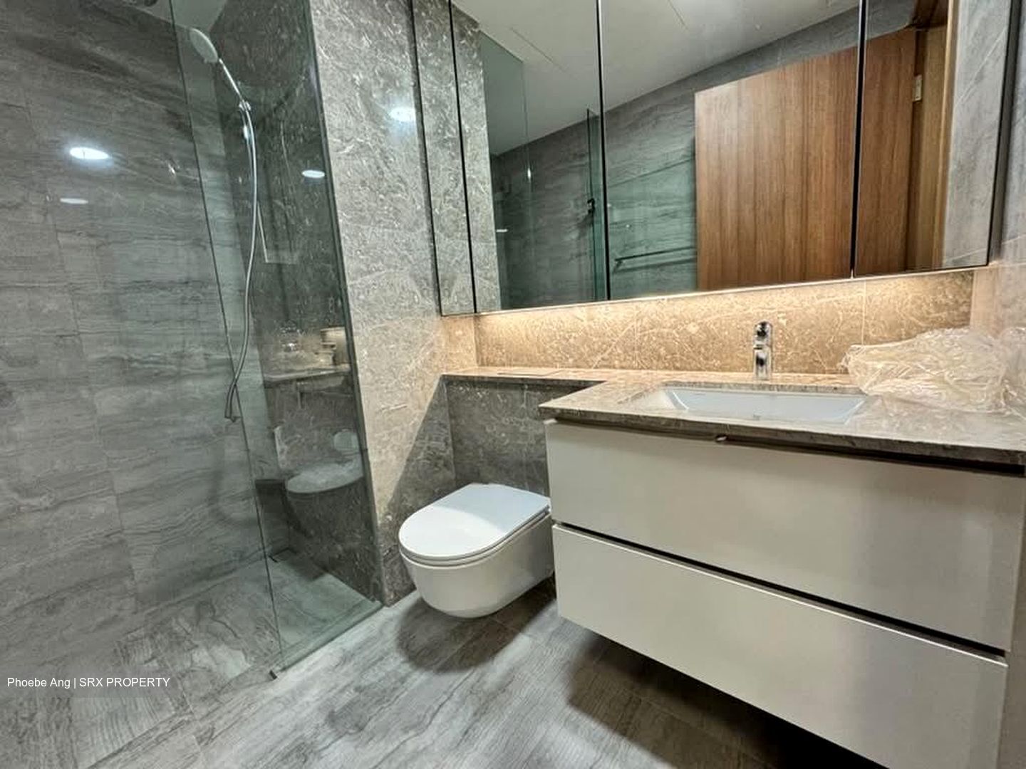 Fourth Avenue Residences (D10), Apartment #572127451